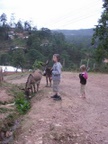 stroking the roaming donkeys