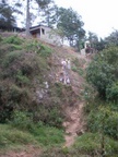 walking up to our house