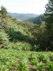 view on one of our walks