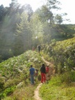 walking through fields