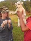 pinky home at the farm