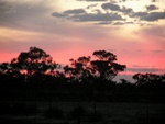 kangeroo_lake_073.jpg