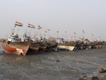 boats