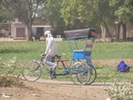 posh rigshaw