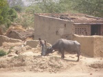 getting water from the well